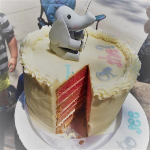 baby reveal cake perth